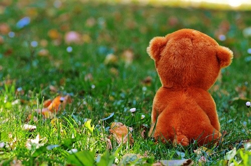 teddy-bear-861061_960_720